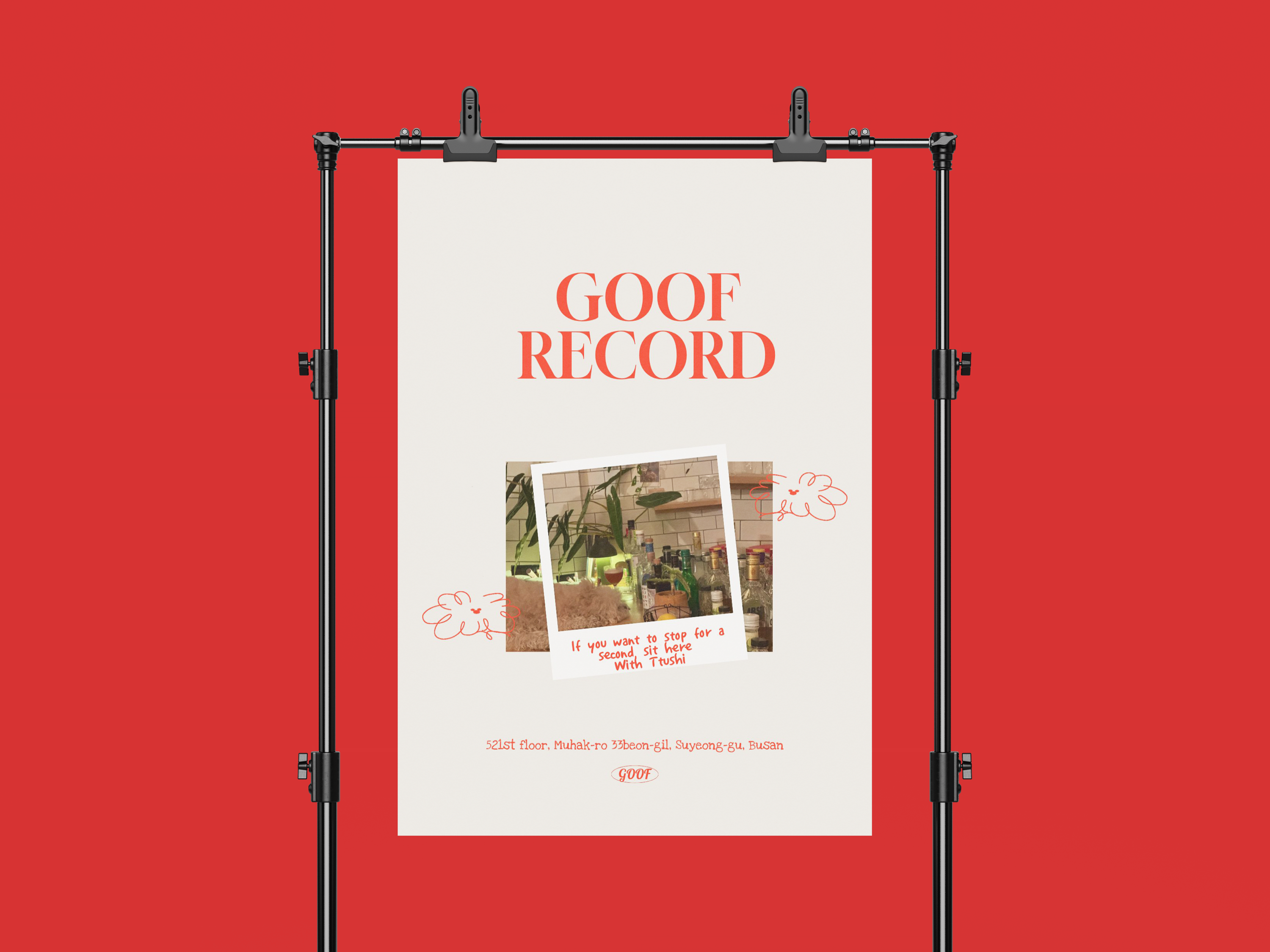 GOOF RECORD Detail